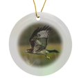 thumbnail image 1 of 3drose, Red-tail Hawk, Circle Porcelain Ornament, 1 of 7
