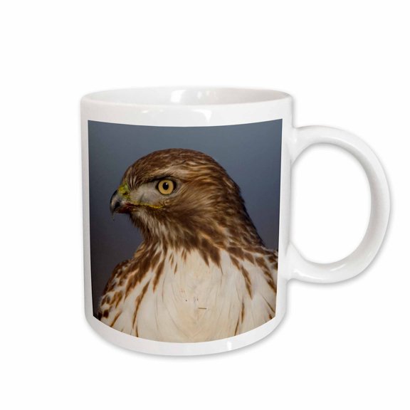 3drose, Red Tailed Hawk Close Up, 15oz Mug