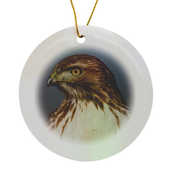 3drose, Red Tailed Hawk Close Up, Circle Porcelain Ornament