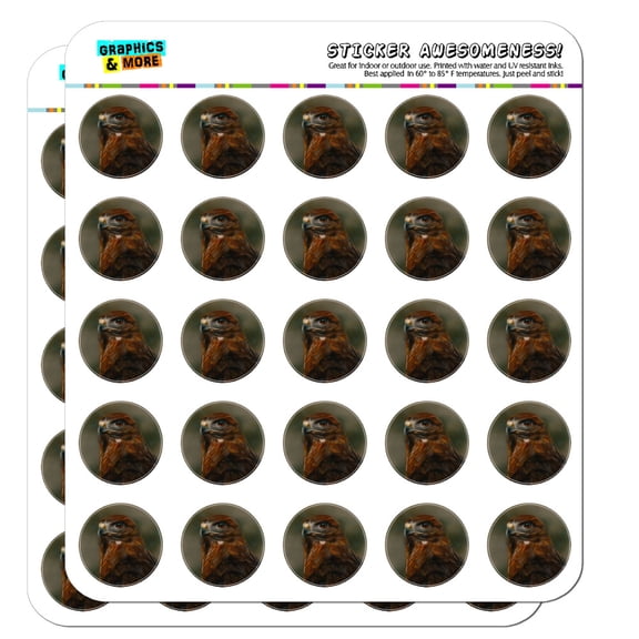 Red-Tailed Hawk Raptor Portrait Planner Calendar Scrapbooking Crafting Stickers