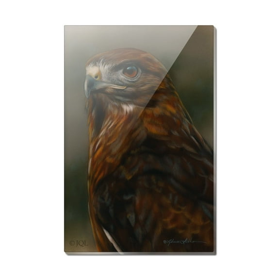 Red-Tailed Hawk Raptor Portrait Rectangle Acrylic Fridge Refrigerator Magnet