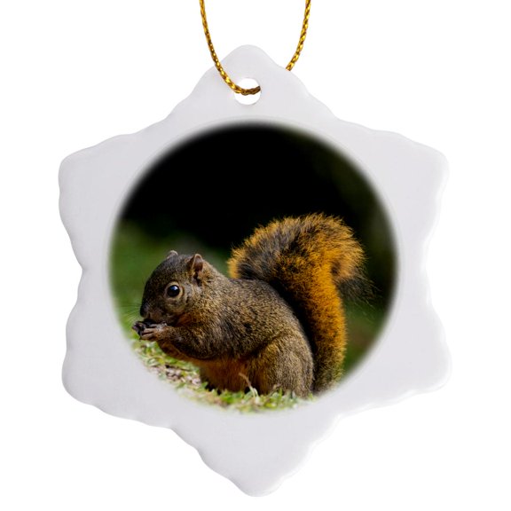 3drose, Red-tailed Squirrel, Bosque Del Paz, Costa Rica, 3 inch Snowflake Porcelain Ornament
