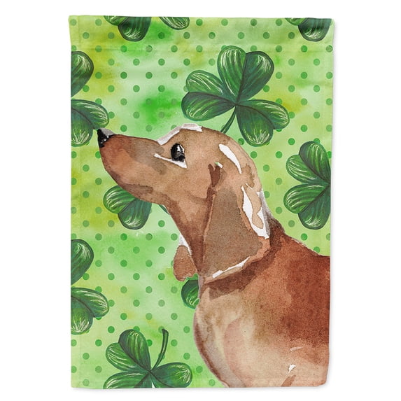 Red Tan Dachshund St. Patrick's Flag Canvas House Size