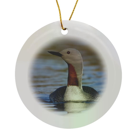 3drose, Red-throated Loon, Circle Porcelain Ornament