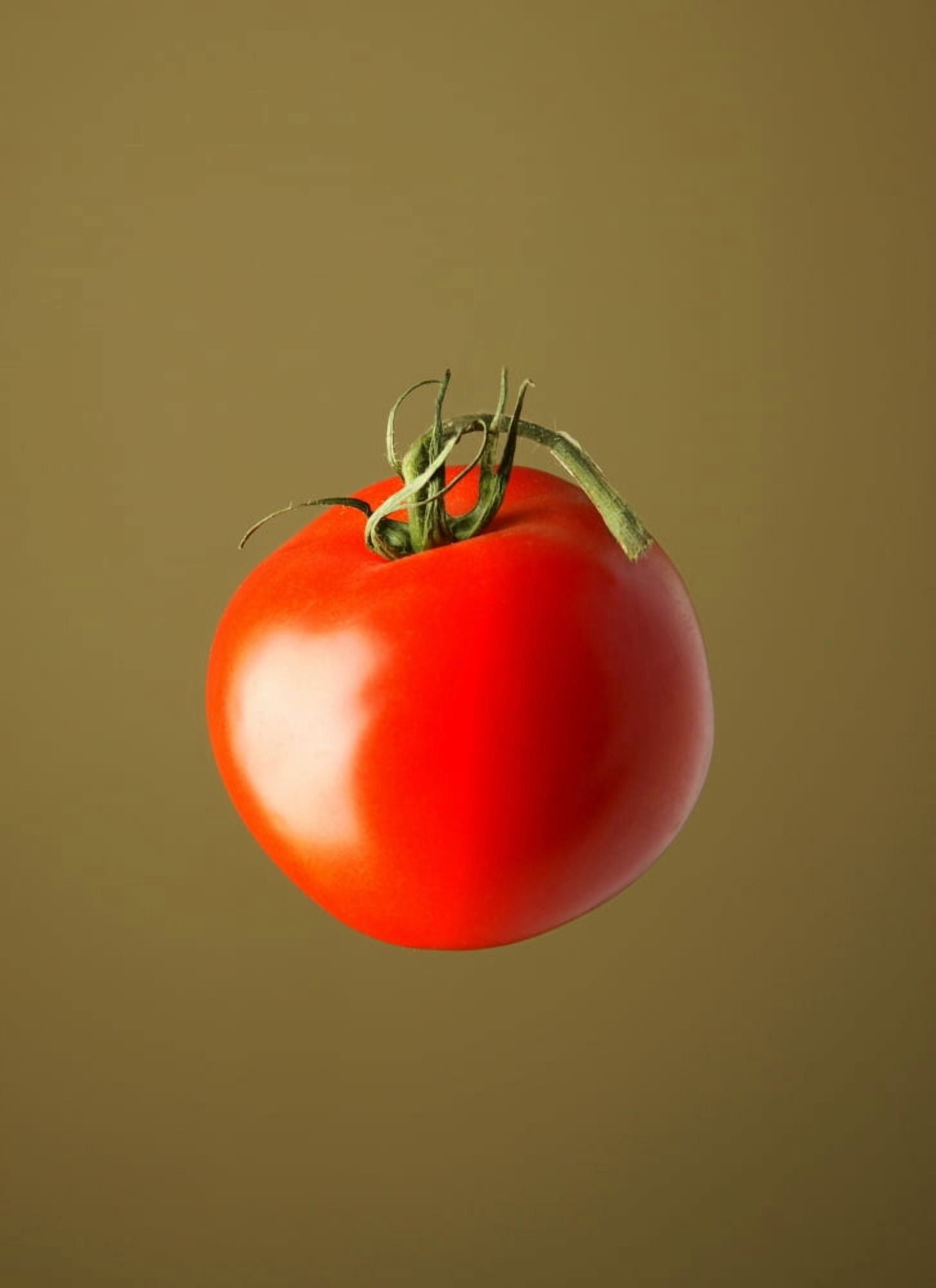 Red Tomato Canvas Art - Darren Greenwood  Design Pics (11 x 16)