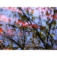 thumbnail image 1 of Red Trees 2 Massachusetts Seekonk Caratunk Wildlife Refuge Ripples And Reflections On Water Surface. Print, 1 of 3