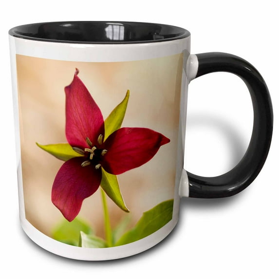 3drose, Red Trillium, Jamaica State Park Vermont - Us46 Jmo0258 - Jerry and Marcy Monkman, 15oz Two-tone Black Mug