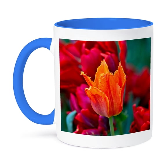 3dRose, Red tulip flower, scarlet, green background. Springtime beauty, 15oz Two-Tone Blue Mug