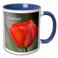 thumbnail image 1 of 3drose, Red Tulip Gratitude- Inspirational- Flowers, 11oz Two-tone Blue Mug, 1 of 6