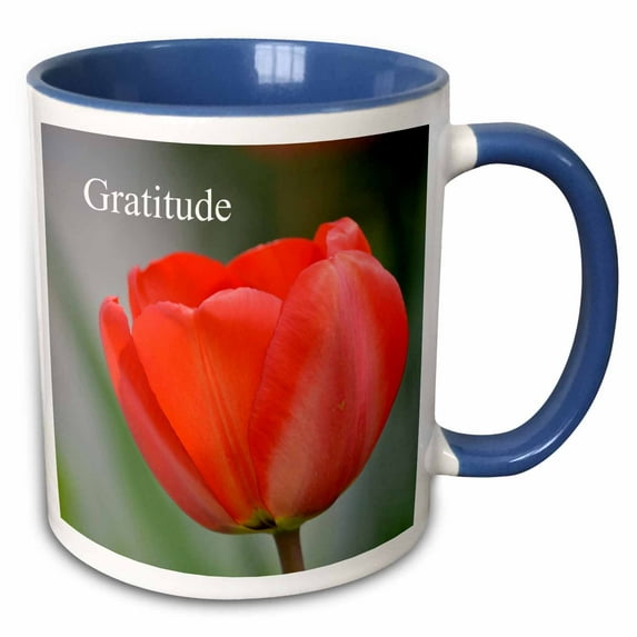 3drose, Red Tulip Gratitude- Inspirational- Flowers, 11oz Two-tone Blue Mug