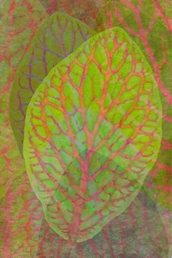 Red Veined Canvas Art - Cora Niele (24 x 36)
