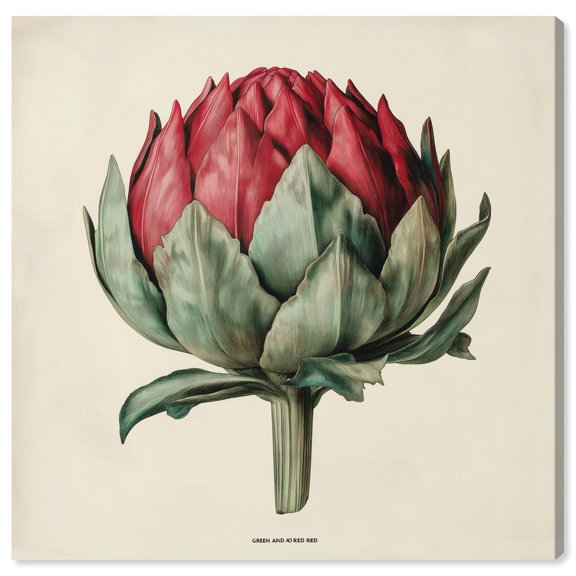 Red Vermillion Harmony Canvas Vintage Botanic Art by Art Remedy, Gallery Wrapped, 20" x 20"