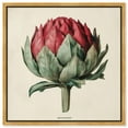 thumbnail image 1 of Red Vermillion Harmony Canvas Vintage Botanic Art by Art Remedy, Gold Frame, 20" x 20", 1 of 7