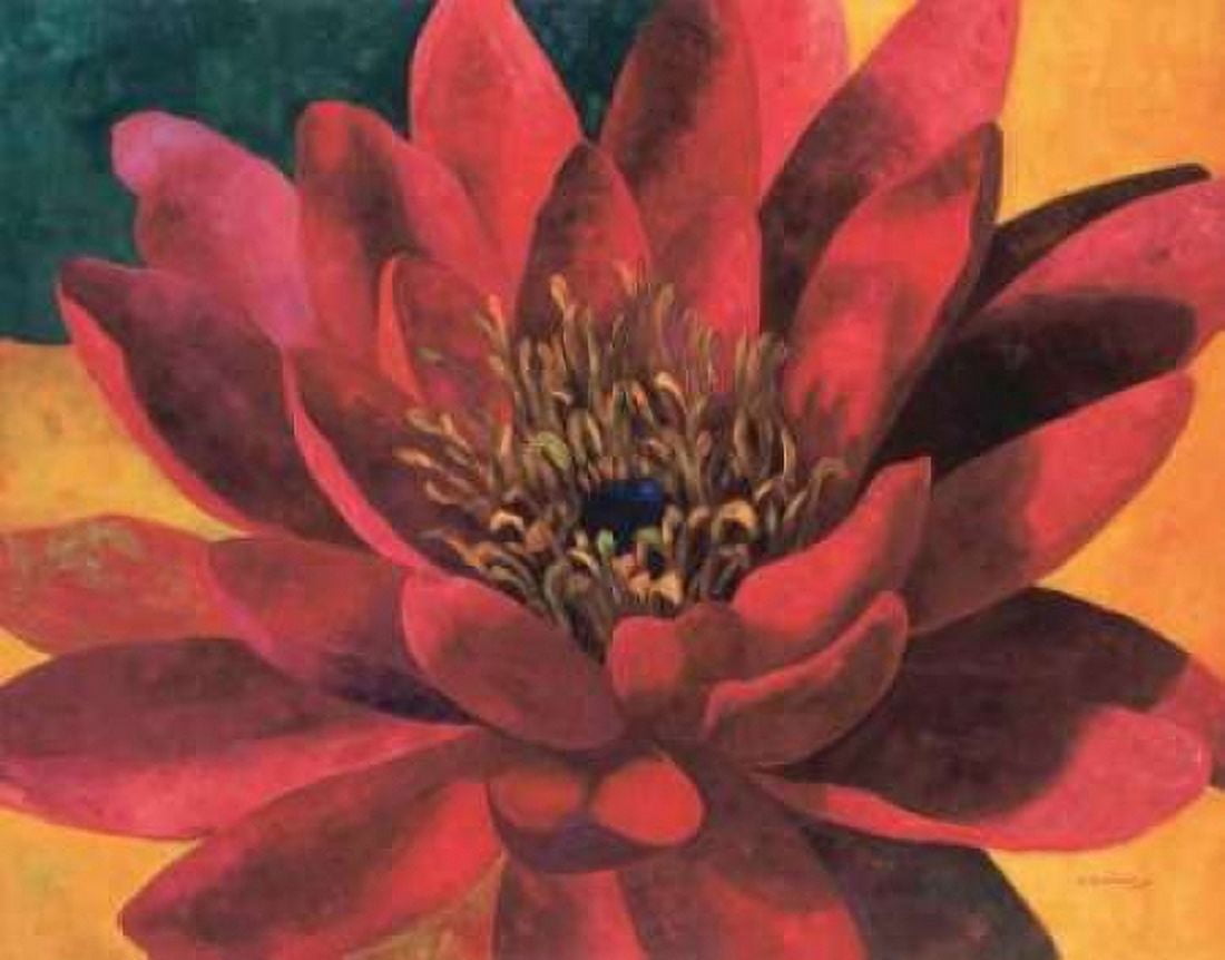 Red Water Lily Canvas Art - Maria Torrontegui (22 x 28)