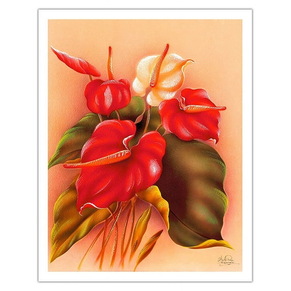 Red and White Anthuriums Flowers - Vintage Hawaiian Airbrush Art by Frank Oda (Hale Pua Studio) c.1940s - Fine Art Matte Paper Print (Unframed) 11x14in