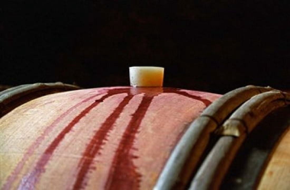 Red Wine in Oak Barrel at Lucien Muzard Canvas Art - Per Karlsson DanitaDelimont (36 x 24)