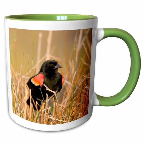 3drose, Red-winged Blackbird Singing in Wetland Marion, Illinois, Usa., 11oz Two-tone Green Mug