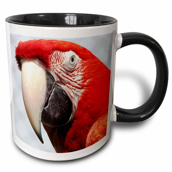 Red and Green Macaw 11oz Two-Tone Black Mug mug-211706-4