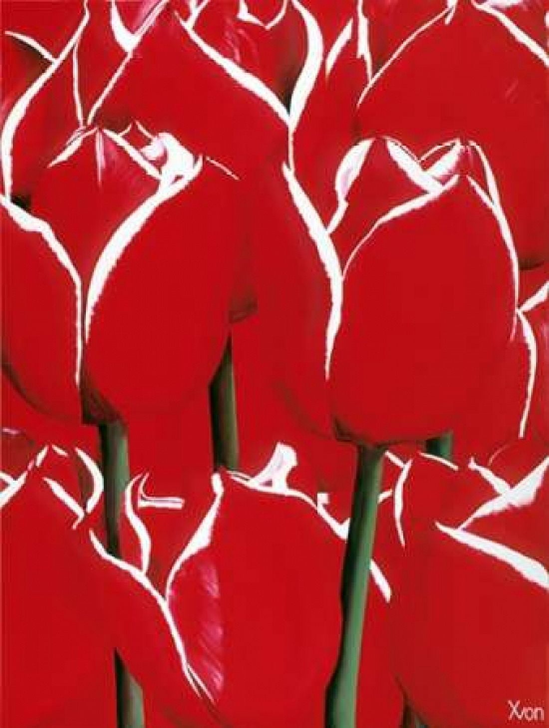 Red and White I Canvas Art - Yvonne Poelstra-Holzhaus (22 x 28)