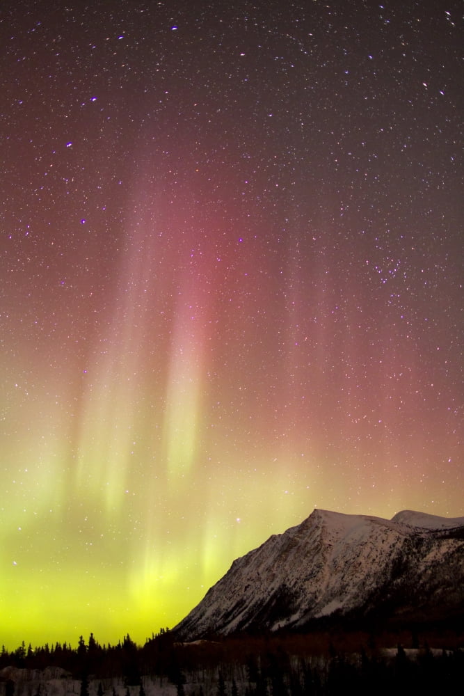 Red aurora borealis over Carcross Desert Canada Canvas Art - Joseph BradleyStocktrek Images (12 x 18)