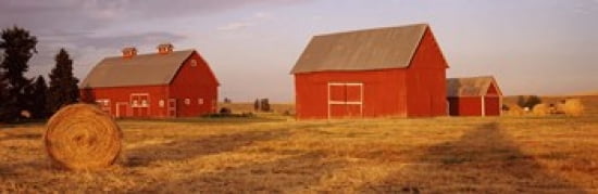 Red barns in a farm Palouse Whitman County Washington State USA Canvas Art - Panoramic Images (36 x 12)