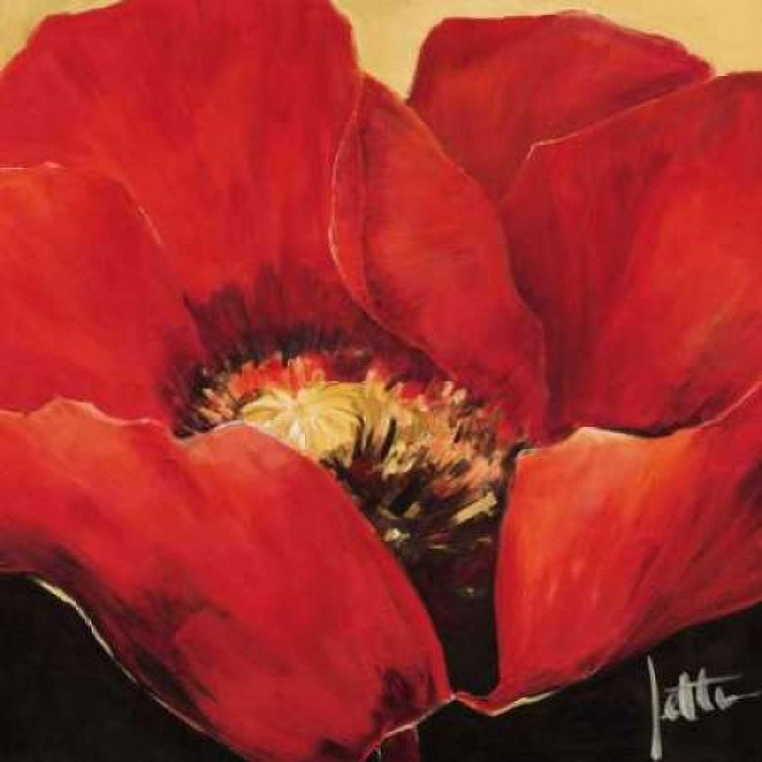 Red beauty II Canvas Art - Jettie Roseboom (24 x 24)