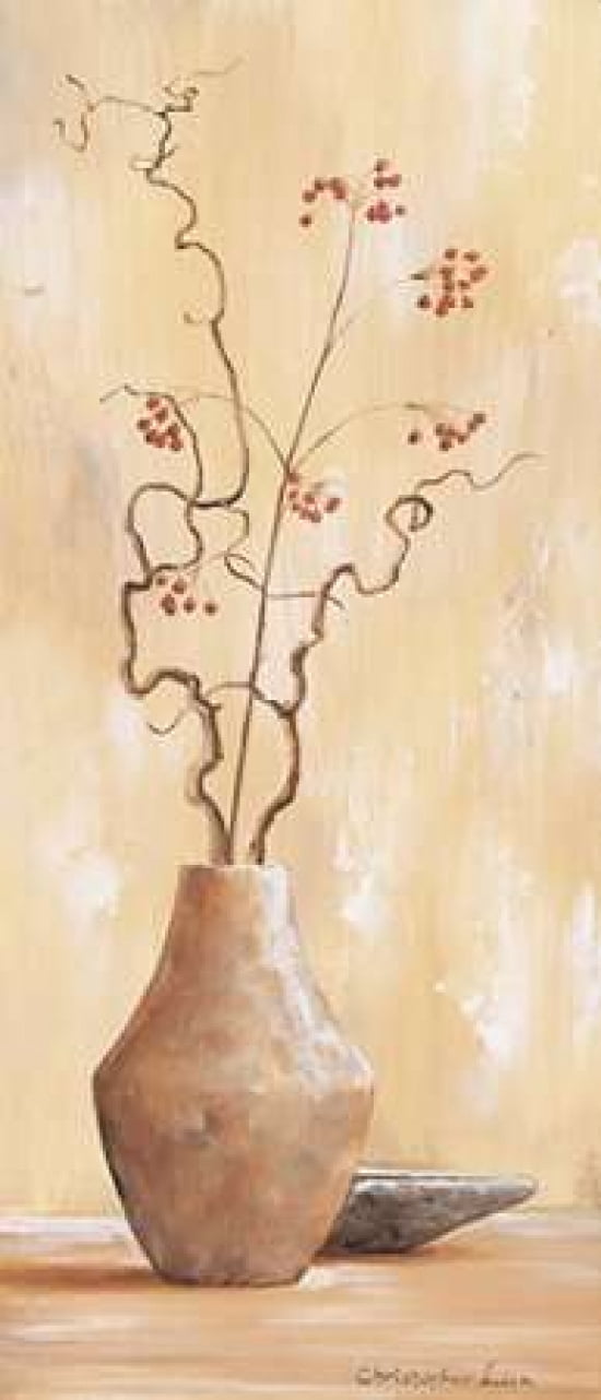 Red berries VI Canvas Art - Christopher Lien (10 x 20)