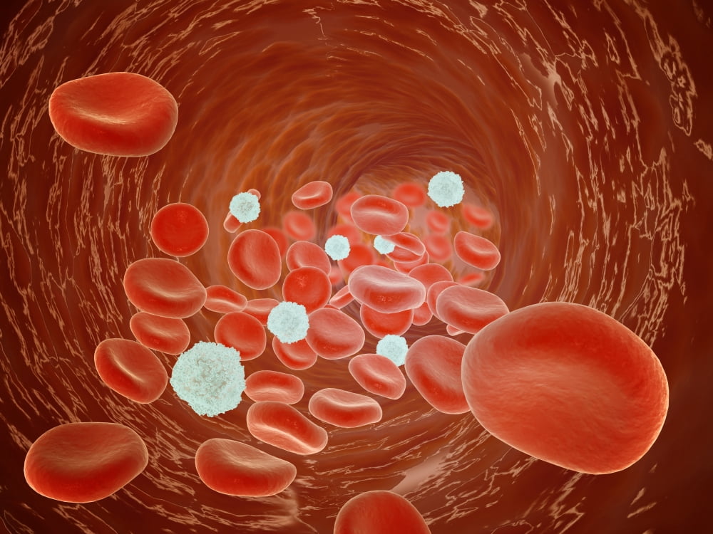 Red blood cell flow inside the artery Canvas Art - Stocktrek Images (17 x 13)