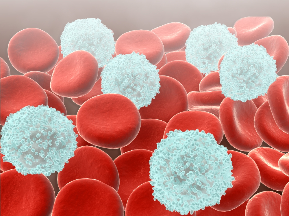 Red blood cells with white blood cells Canvas Art - Stocktrek Images (33 x 25)