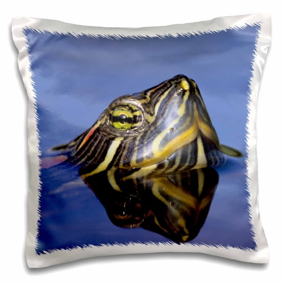 3dRose, Red-eared Slider turtle, Rio Grande Valley, Texas - NA02 RNU0745 - Rolf Nussbaumer, 16x16 inch Pillow Case