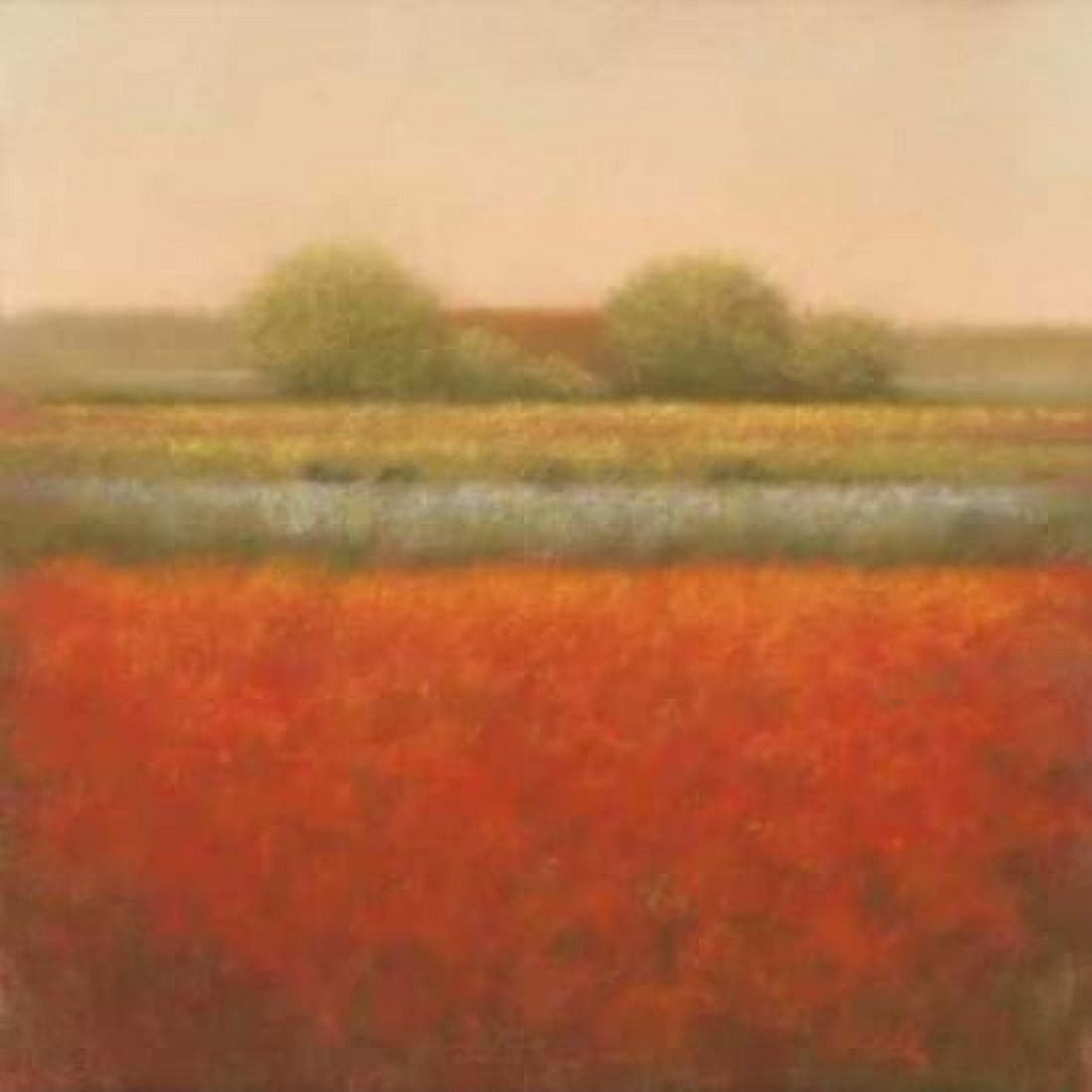 Red field Canvas Art - Hans Dolieslager (24 x 24)