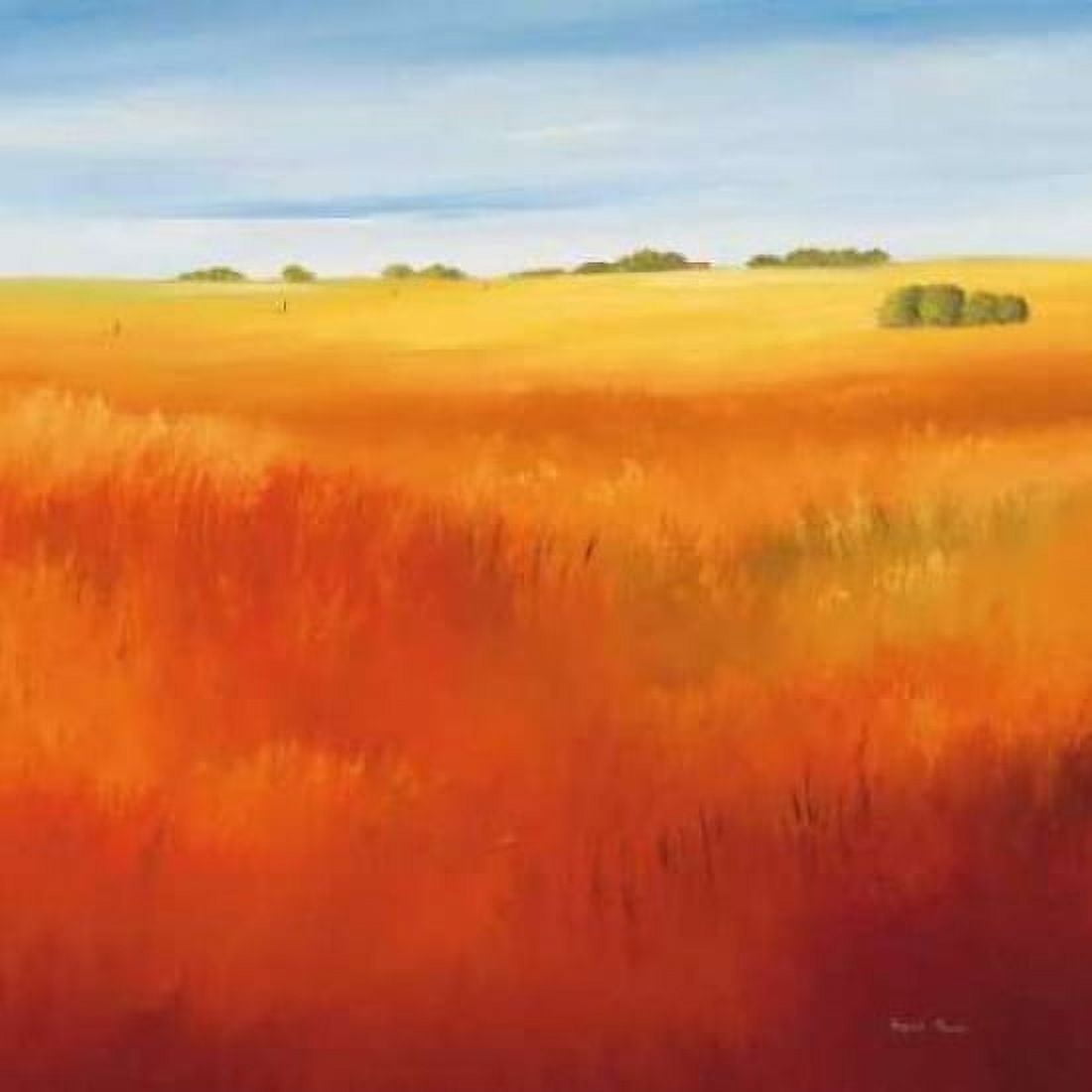 Red field I Canvas Art - Hans Paus (24 x 24)