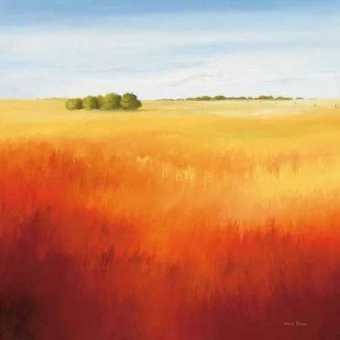 Red field II Canvas Art - Hans Paus (24 x 24)