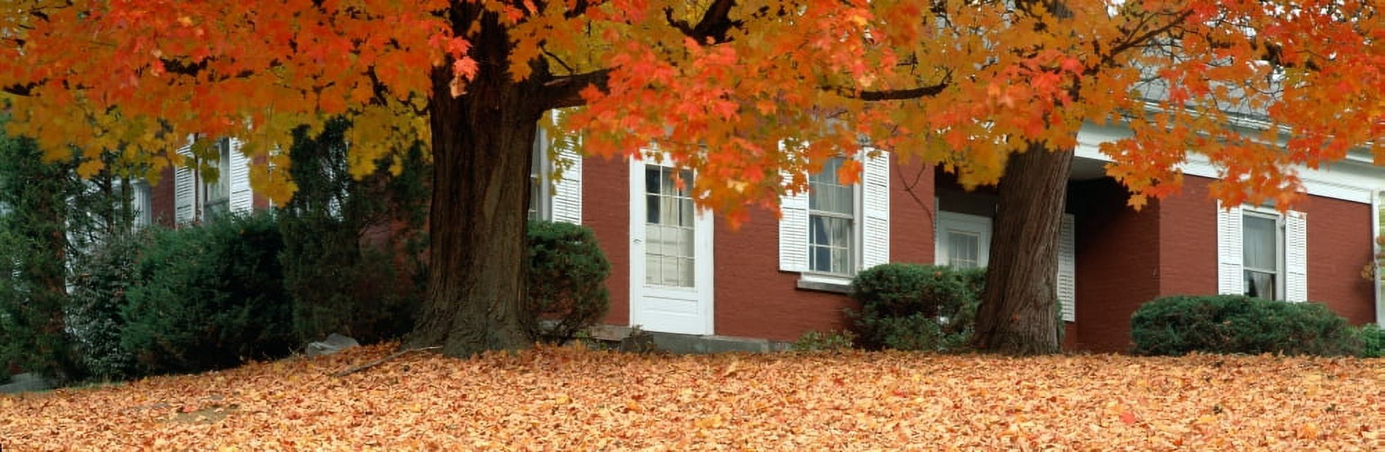 Red house and maple trees along Route 79 Broome County New York Canvas Art - Panoramic Images (27 x 9)