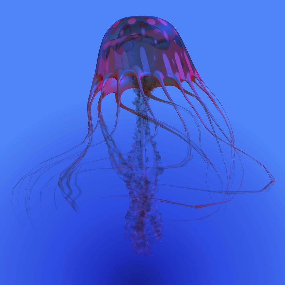 Red jellyfish illustration Canvas Art - Corey FordStocktrek Images (28 x 28)