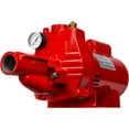 thumbnail image 1 of Red lion RJC-75-PREM 3/4 HP Premium Convertible Jet Pump, 115/230V, 1 of 8