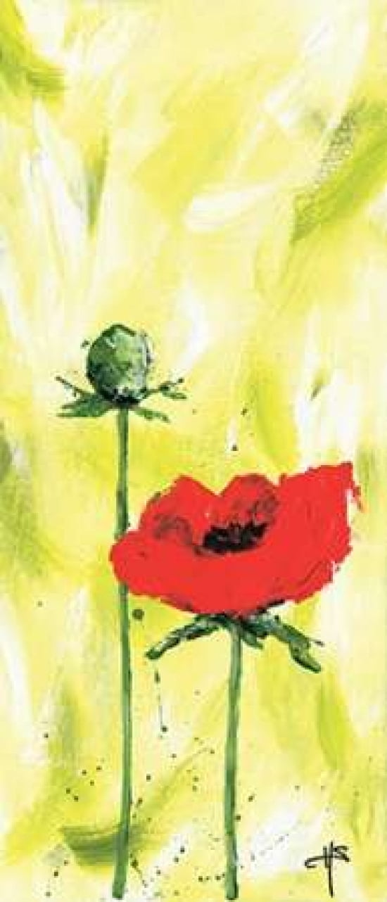 Red on lime 3-3 Canvas Art - Henriette Schaeffers (10 x 20)