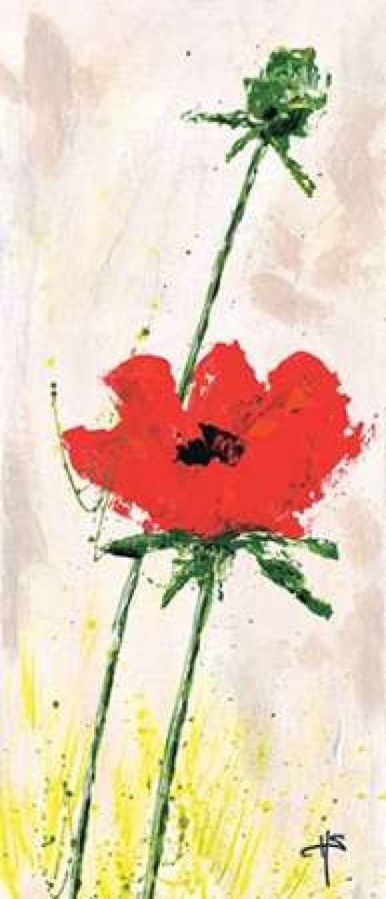Red on white 3-3 Canvas Art - Henriette Schaeffers (10 x 20)