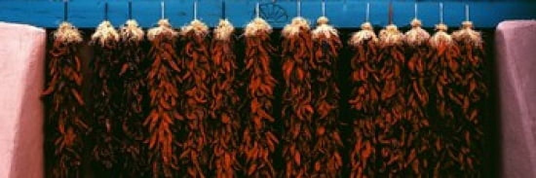 Red peppers drying New Mexico USA Canvas Art - Panoramic Images (18 x 6)