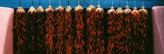 Red peppers drying New Mexico USA Canvas Art - Panoramic Images (36 x 12)