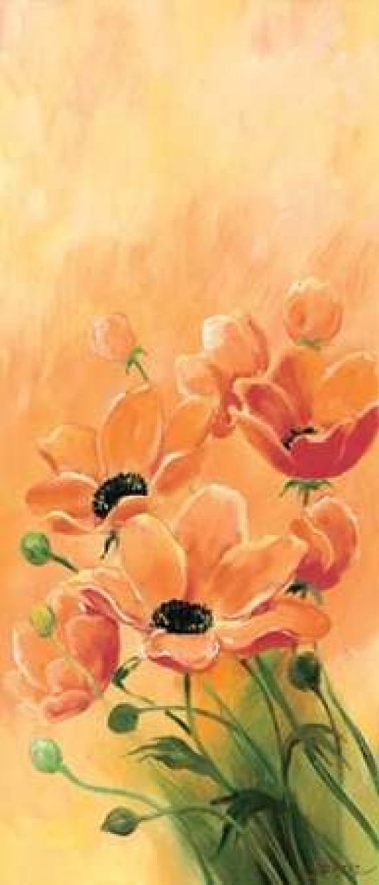Red poppies 3-3 Canvas Art - Jasper (24 x 48)
