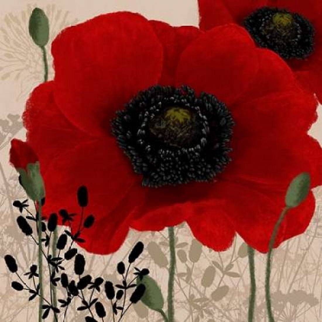 Red poppies I Canvas Art - Wood Linda (24 x 24)