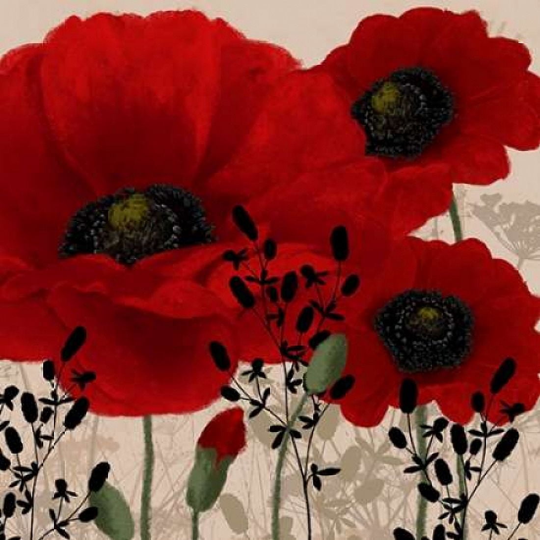 Red poppies II Canvas Art - Wood Linda (24 x 24)