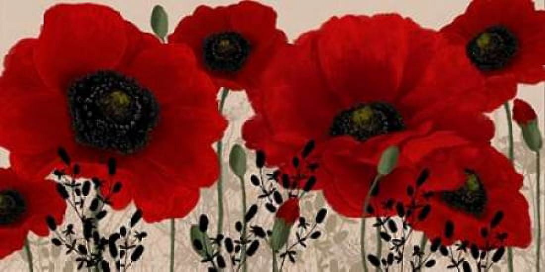 Red poppy Canvas Art - Wood Linda (10 x 20)