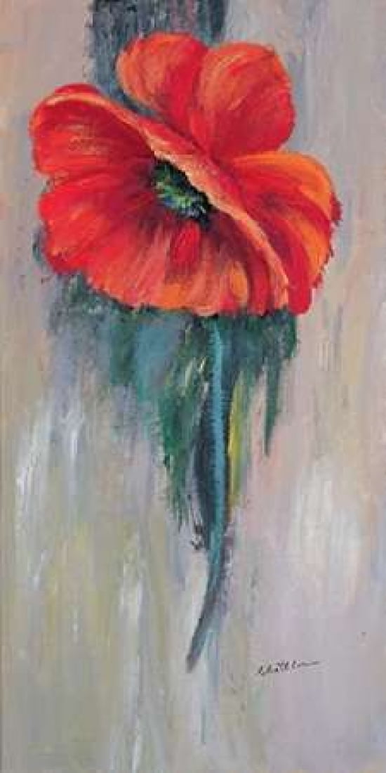 Red poppy III Canvas Art - Katharina Schottler (10 x 20)