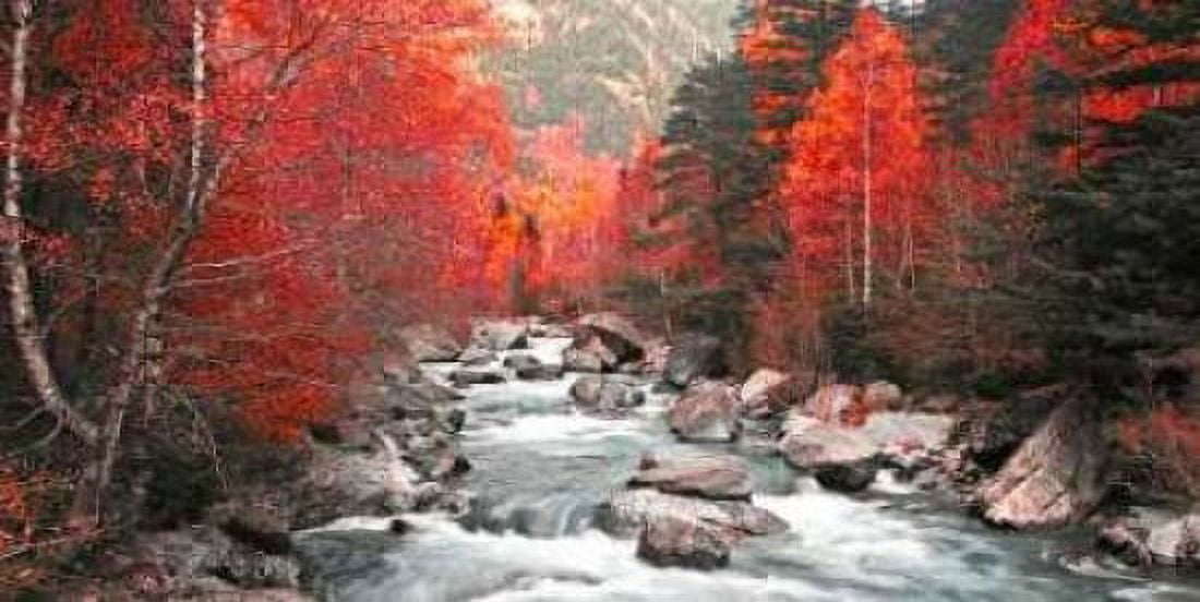 Red river and trees 831 Canvas Art - JA Palacios (10 x 20)