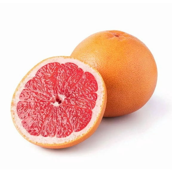 Red ruby grapefruit (grafted) 2-4 Feet Tall. SHIP TO ALL STATES