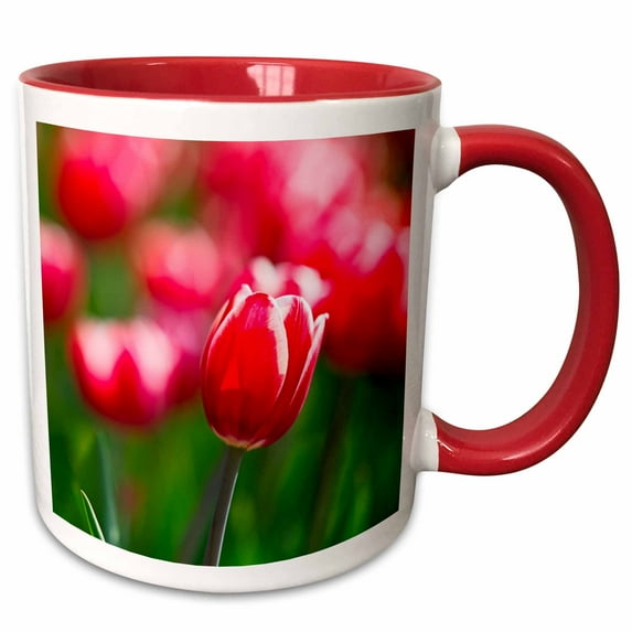 Red tulip flower against the background of green grass and red tulips 11oz Two-Tone Red Mug mug-336558-5