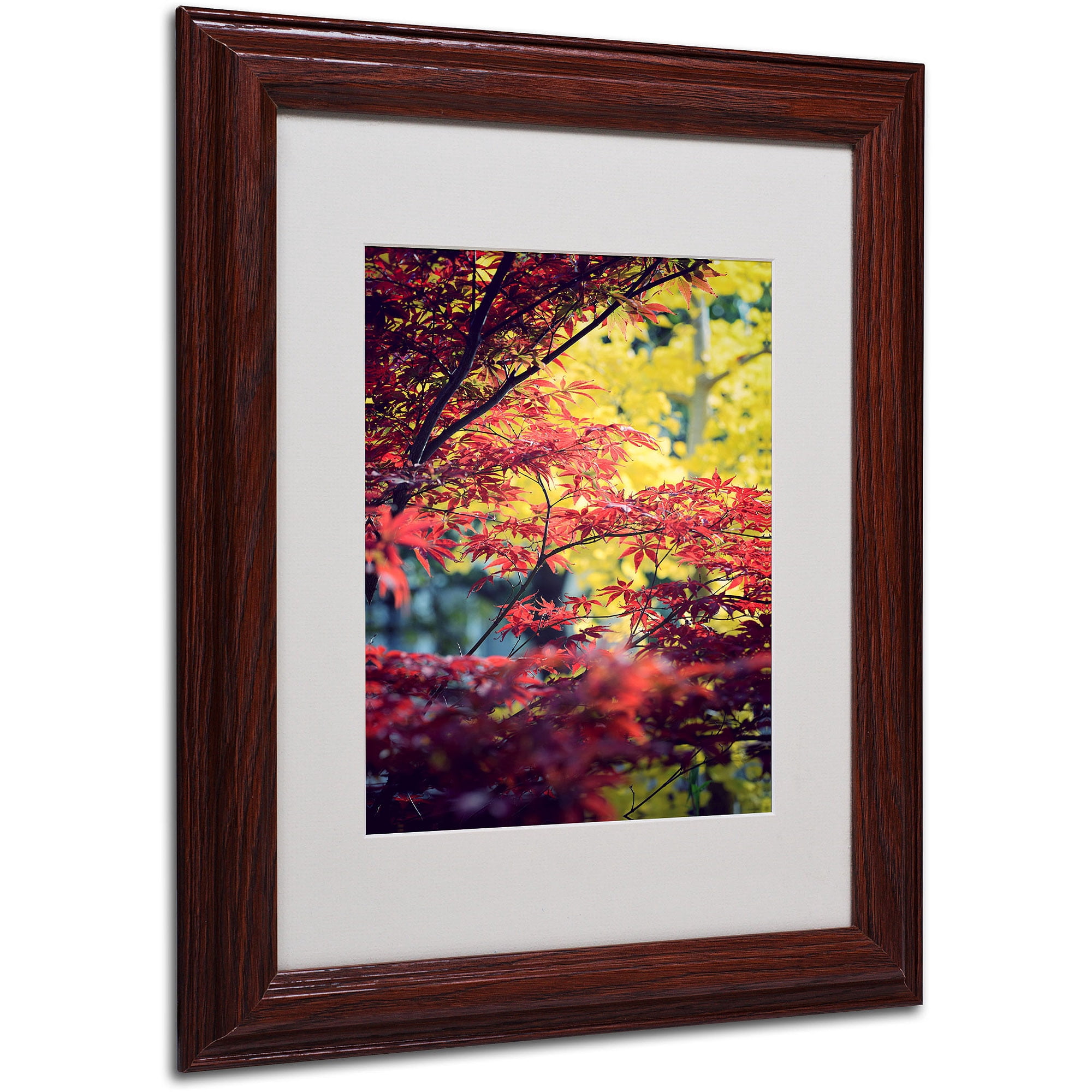 "Red vs Yellow" Canvas Art by Philippe Sainte-Laudy, Wood Frame