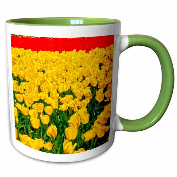 Red, yellow Tulips, Skagit Valley farm, Washington State 11oz Two-Tone Green Mug mug-260554-7